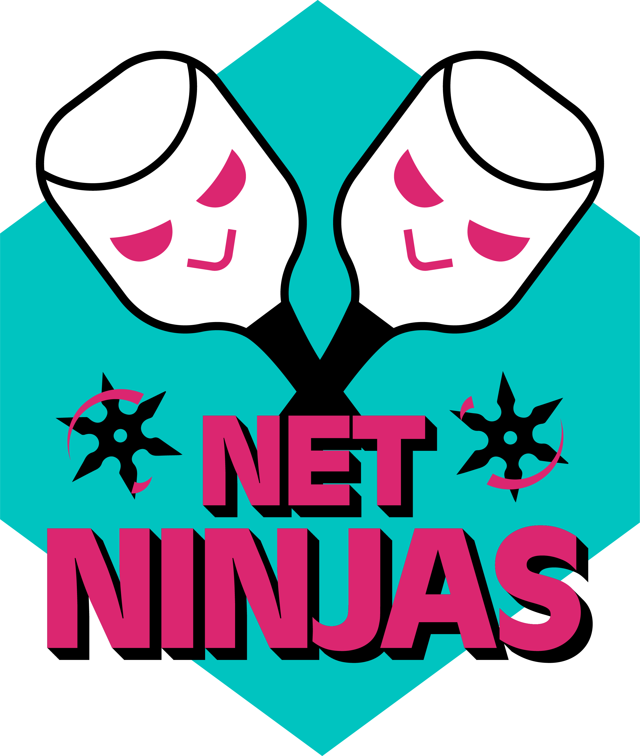 net_ninjas_final_RGB